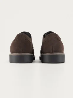 Vestir-Alvaro Moreno BLUCHER PICADO MARRÓN Marrón