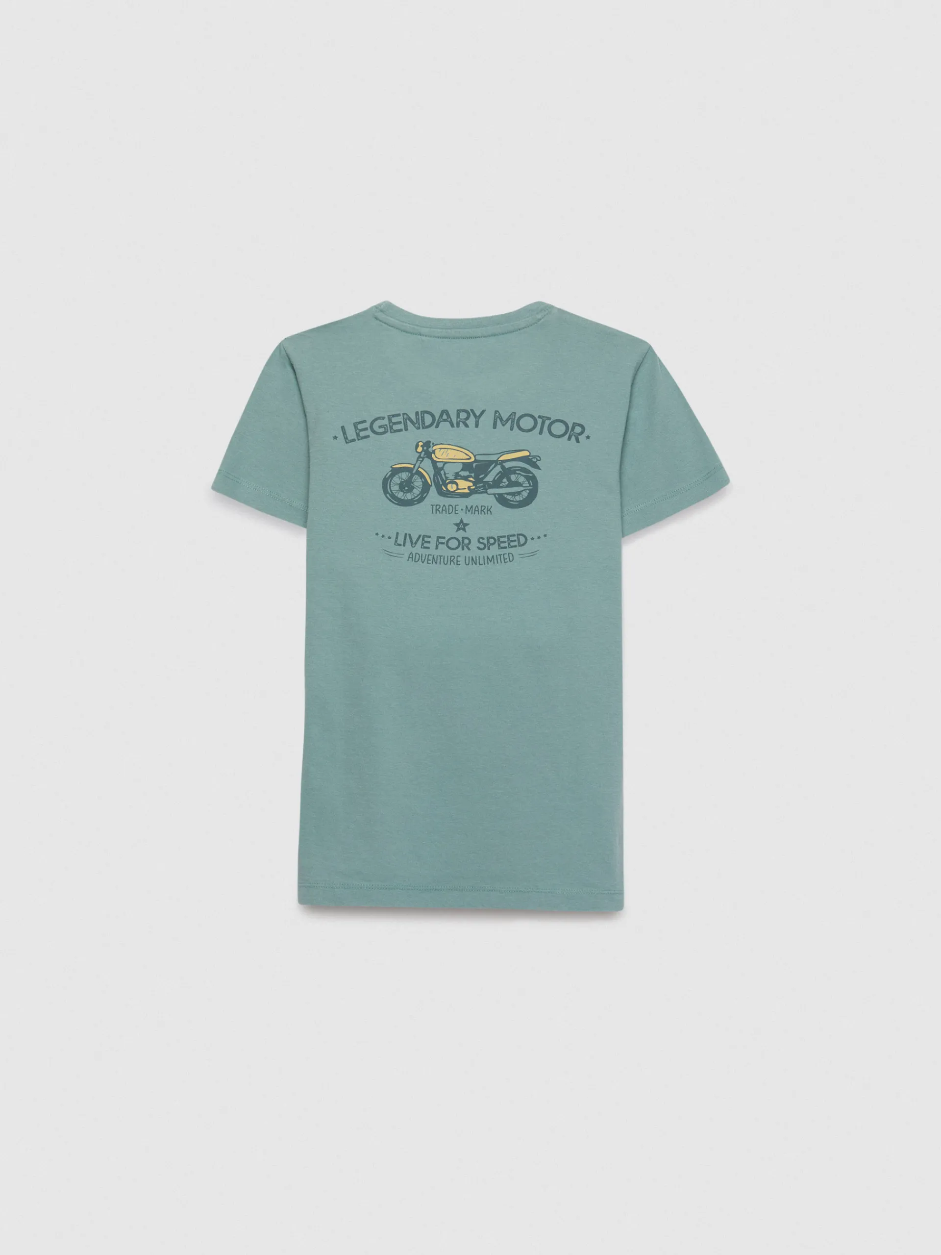 Camisetas-Alvaro Moreno CAMISETA MOTOR KIDS Verde